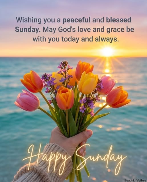 Cute beautiful happy sunday images