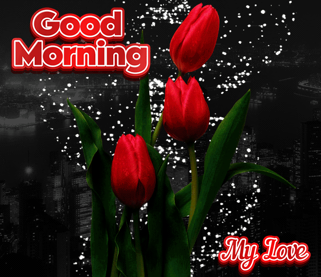 Cute Good Morning My Love Gif