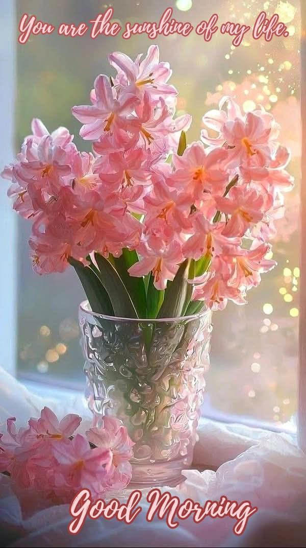 Cute good morning picture for my love