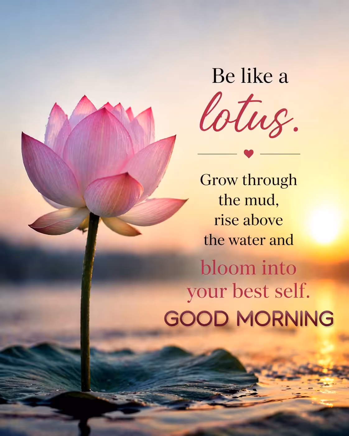 Cute good morning pictures (13)