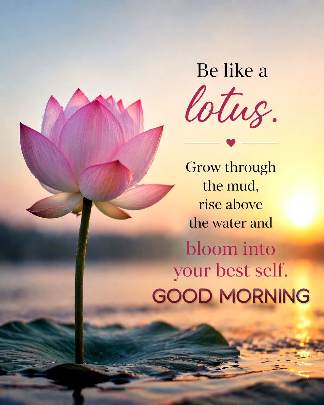 Cute good morning pictures (13)
