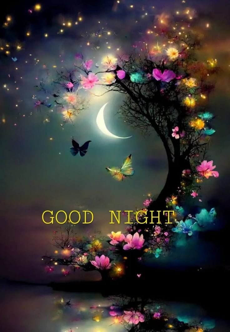 Cute Good Night Images