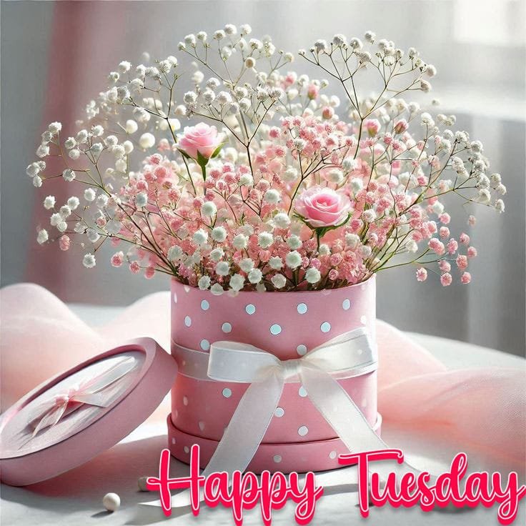 Cute happy tuesday images