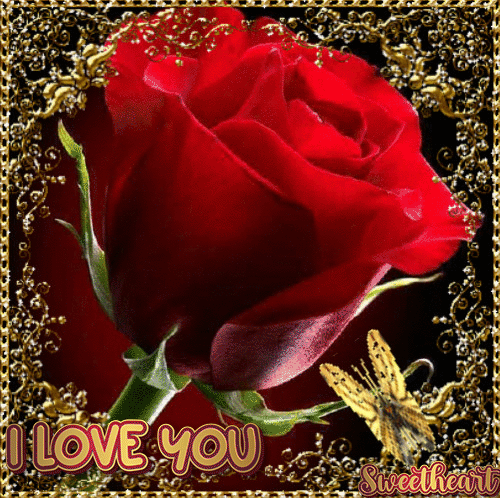 Cute Love Gif For A Female Friend