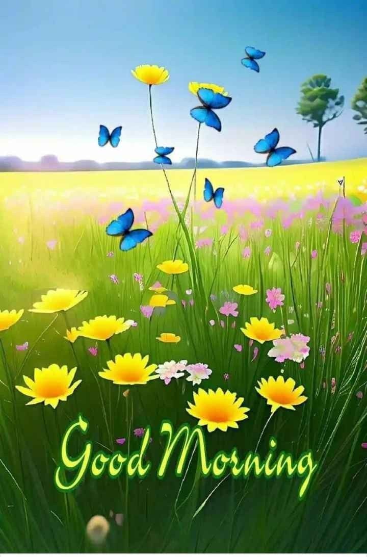 Cute special good morning images (13)