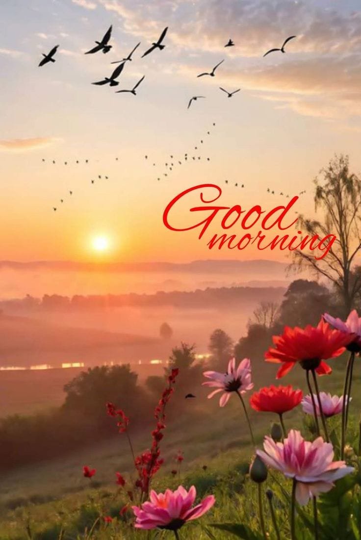 Cute special good morning images (2)