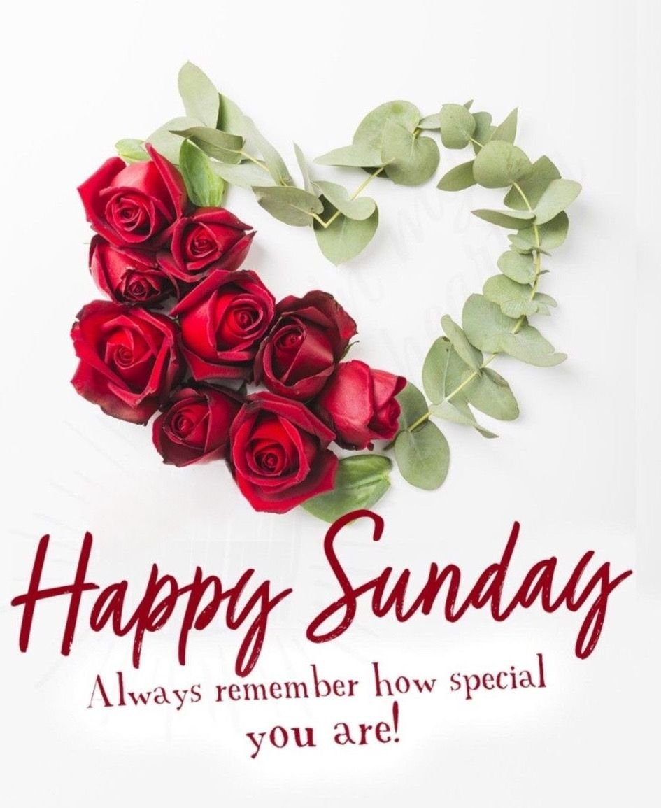 Cute sunday good morning quotes