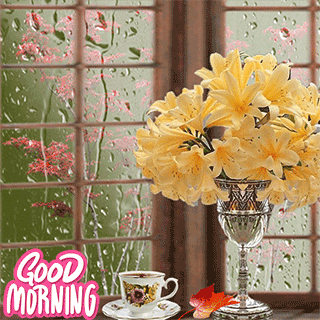Flower Beautiful Good Morning Gif
