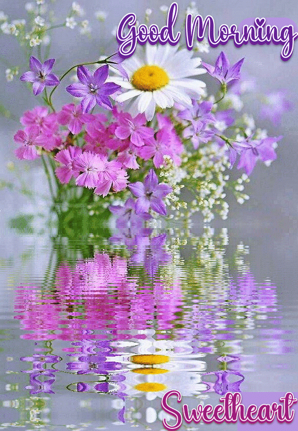 Flower Beautiful Good Morning Gif