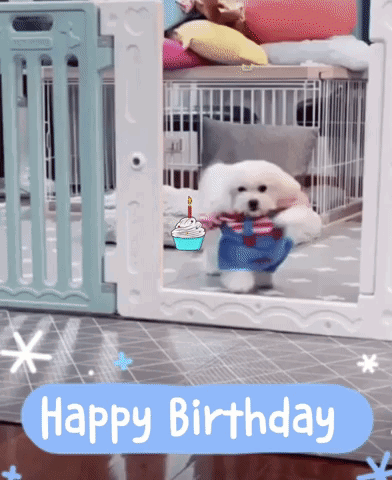Funny Gif For Birthday 4