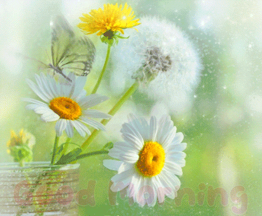 Gif Of Good Morning