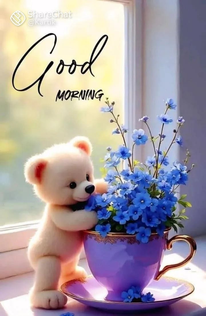 Gm photo (9)