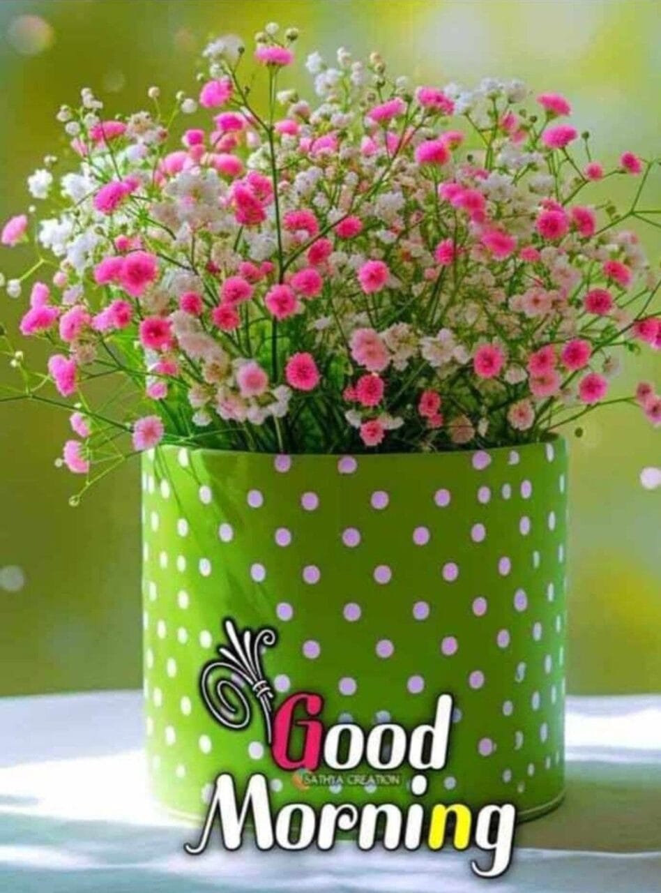 Good morning images for whatsapp 
