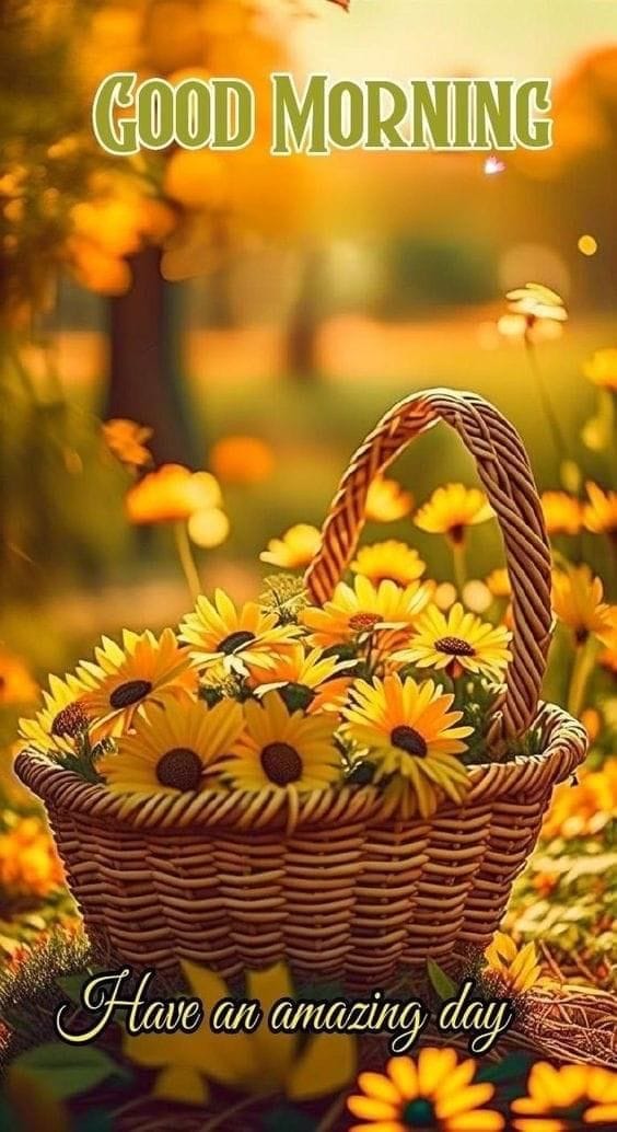 Good morning images for whatsapp 