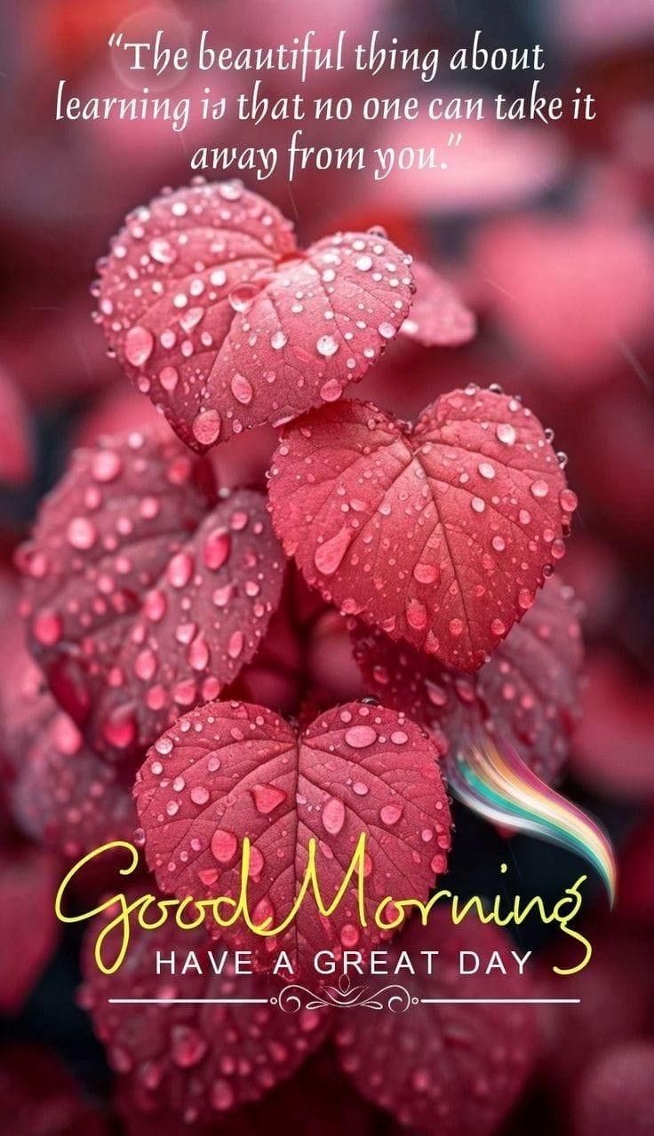 Good morning images for whatsapp 