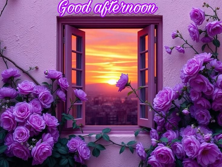 Good afternoon images