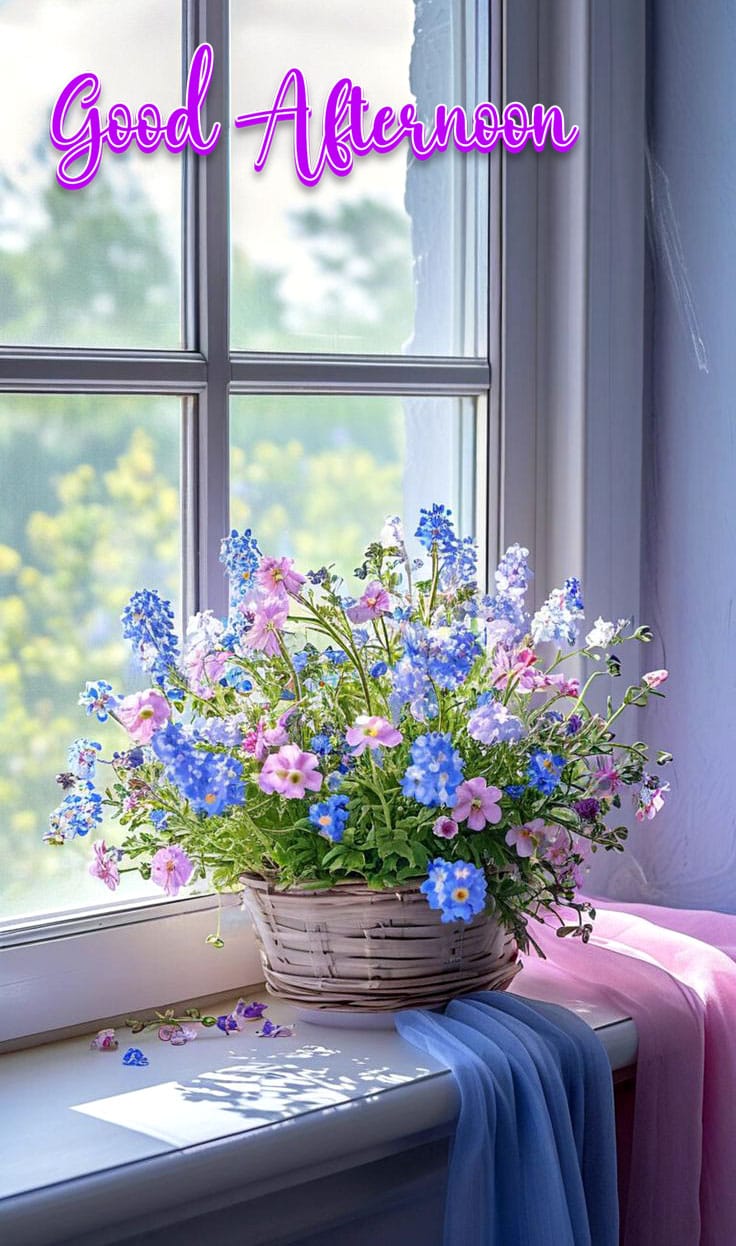 Good afternoon images
