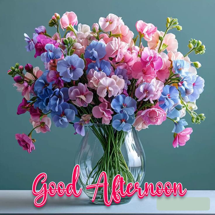 Good afternoon images