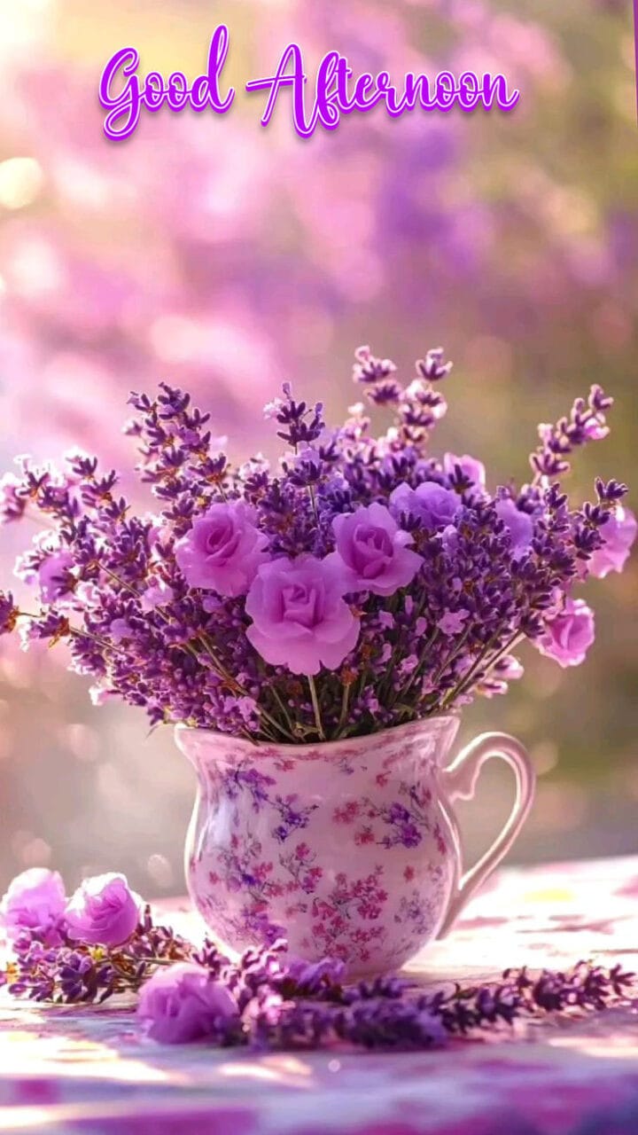 Good afternoon images