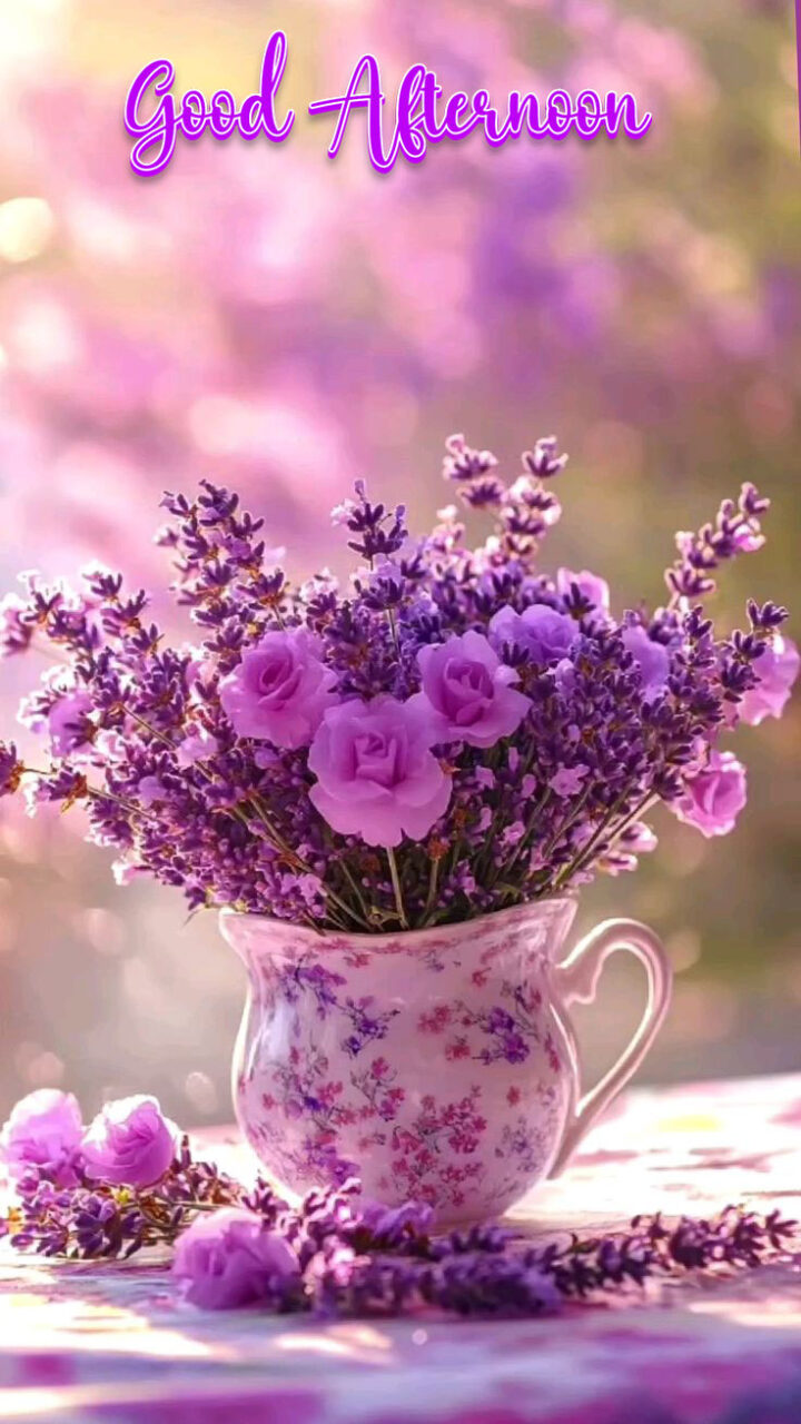 Good afternoon images