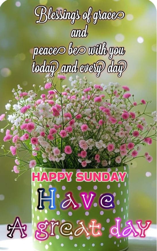 Good morning and happy sunday wishes