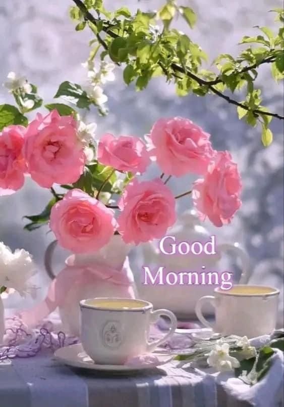 Good morning beautiful image (14)