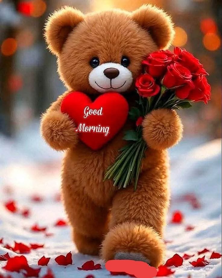 Good morning beautiful images (10)