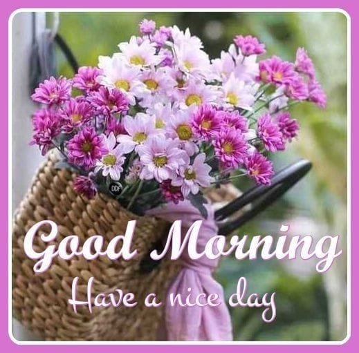 Good morning beautiful images (11)