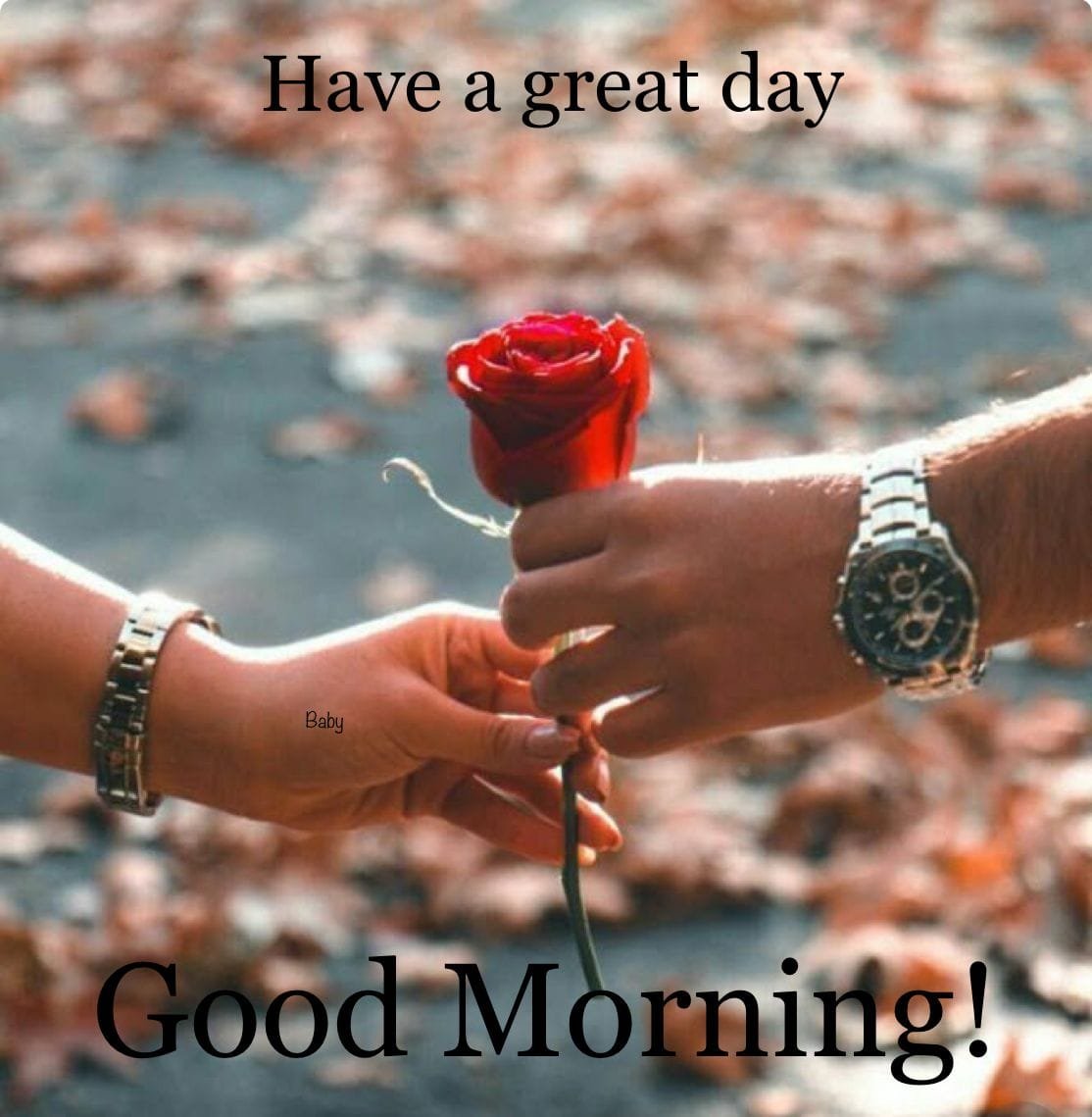 Good morning beautiful images (17)