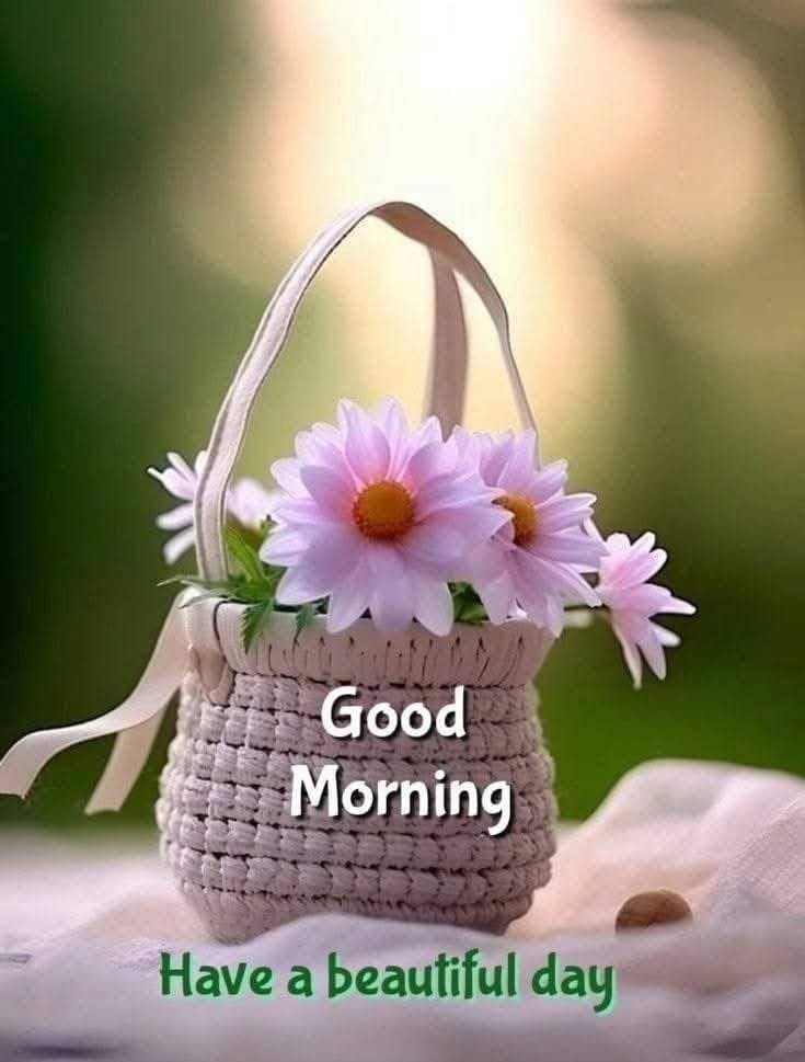 Good morning beautiful images (2)