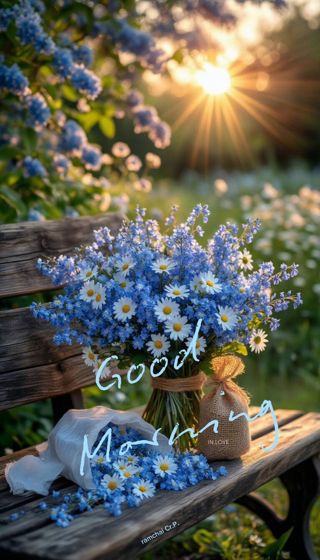 Good morning beautiful images (22)