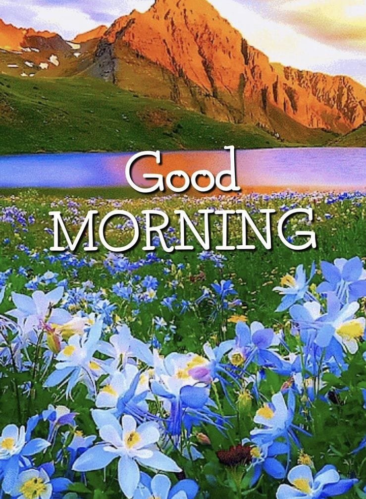 Good morning beautiful images (23)