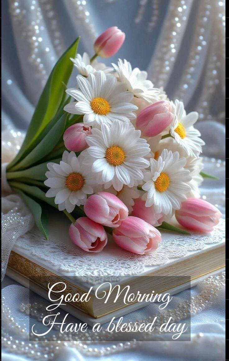 Good morning beautiful images (4)