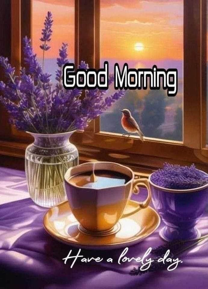 Good morning beautiful images (8)