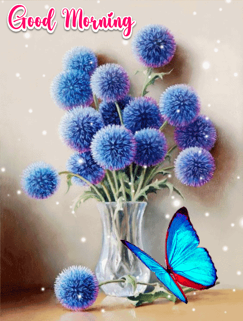 Good morning butterfly gif to make your girlfriend or wife feel special and cherished.
