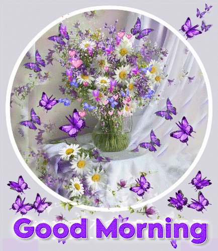 Good Morning Butterfly Gif Images