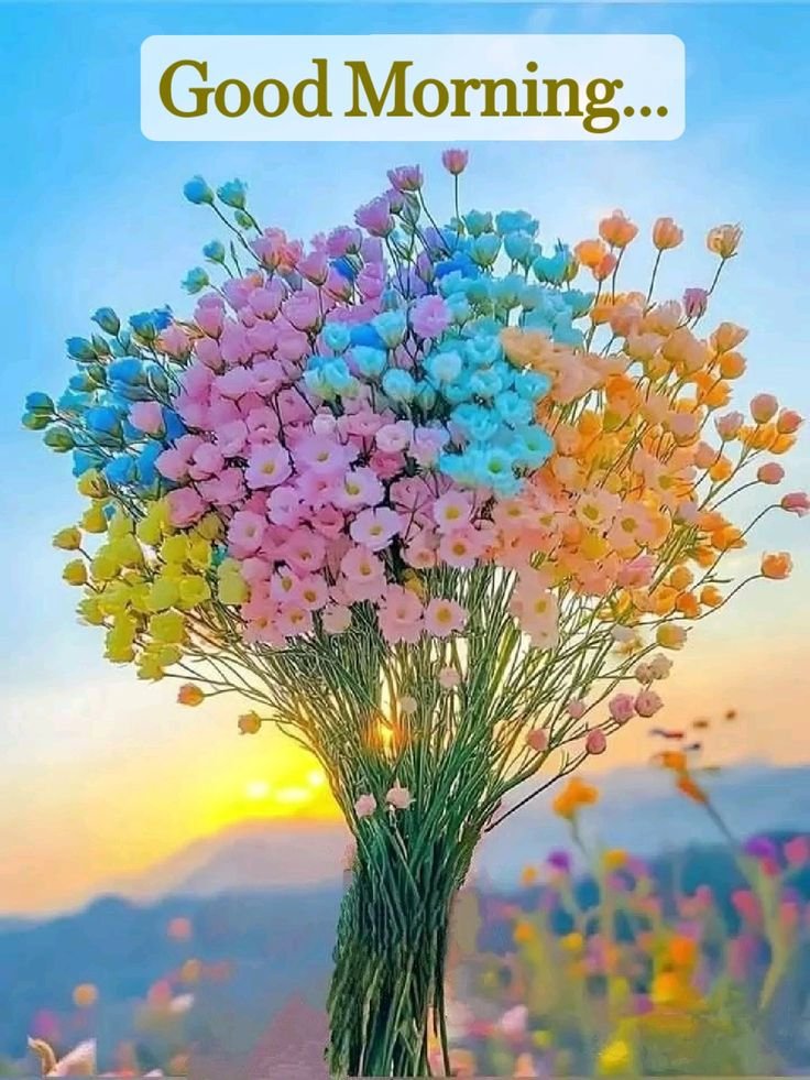 Good morning flowers images for whatsapp