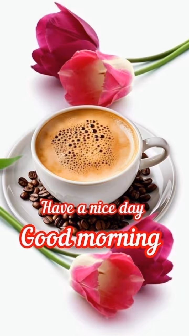 Good morning flowers images for whatsapp