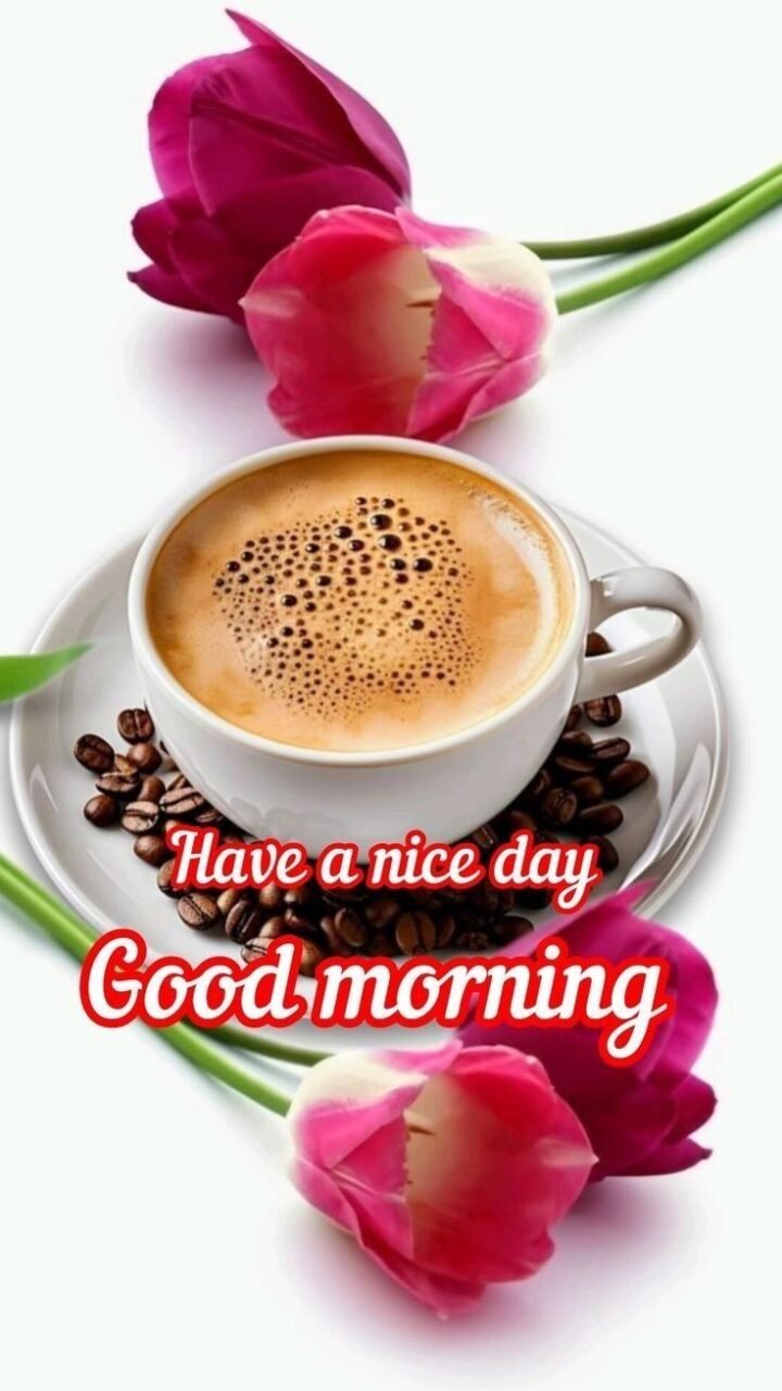 Good morning flowers images for whatsapp