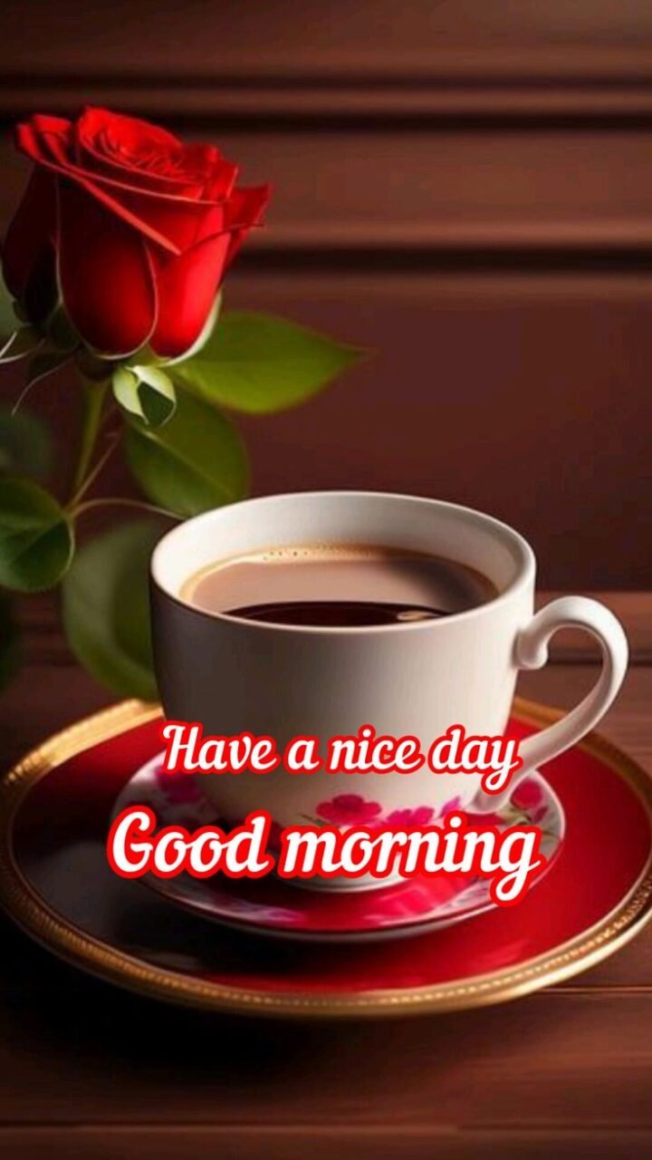 Good morning flowers pictures for whatsapp
