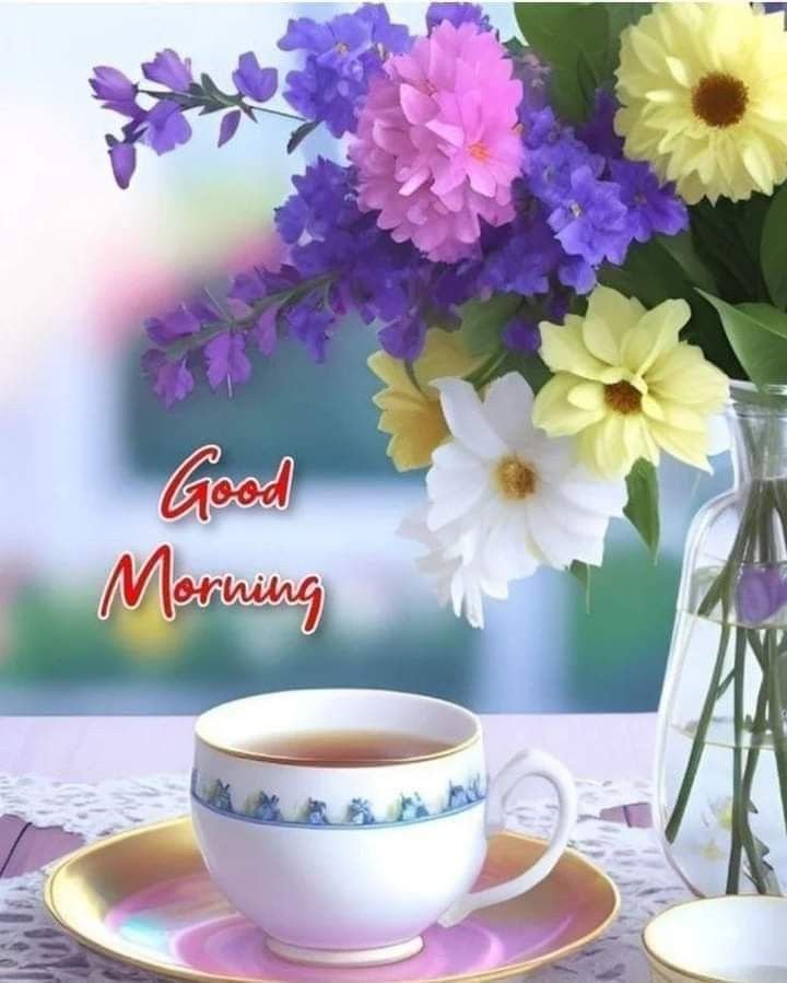 Good morning flowers pictures for whatsapp