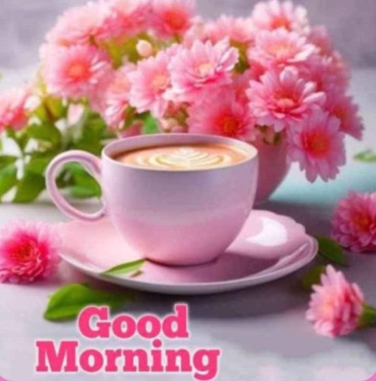 Good morning flowers pictures for whatsapp