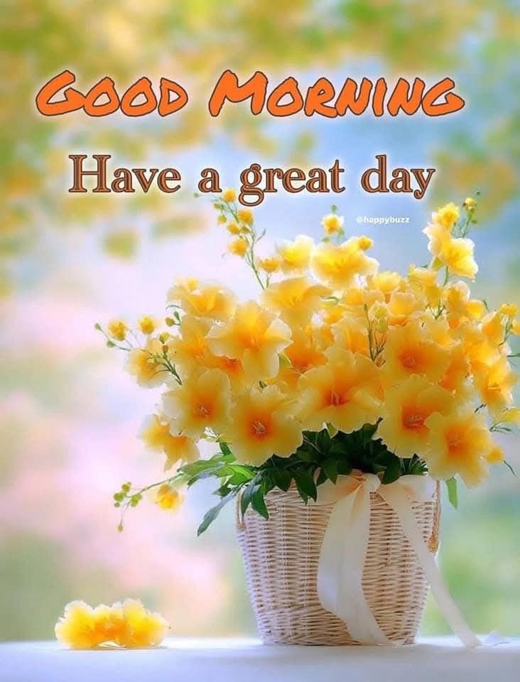 Good morning flowers pictures for whatsapp