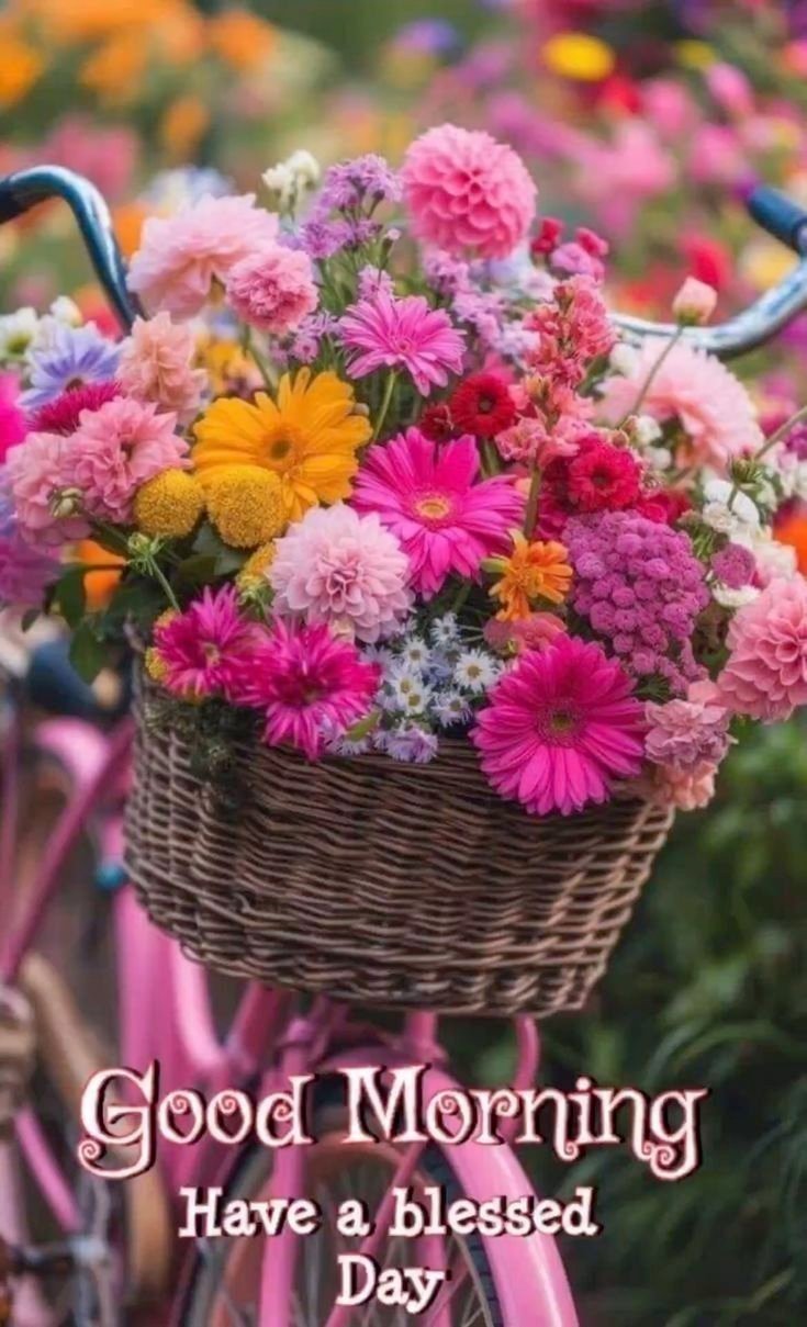 Good morning flowers pictures for whatsapp
