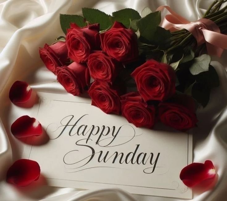 Good morning friends happy sunday