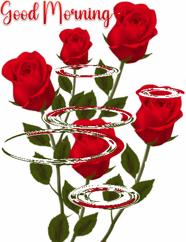 Good Morning Gif Adorable Hd