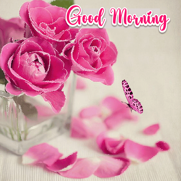Good Morning Gif For Love