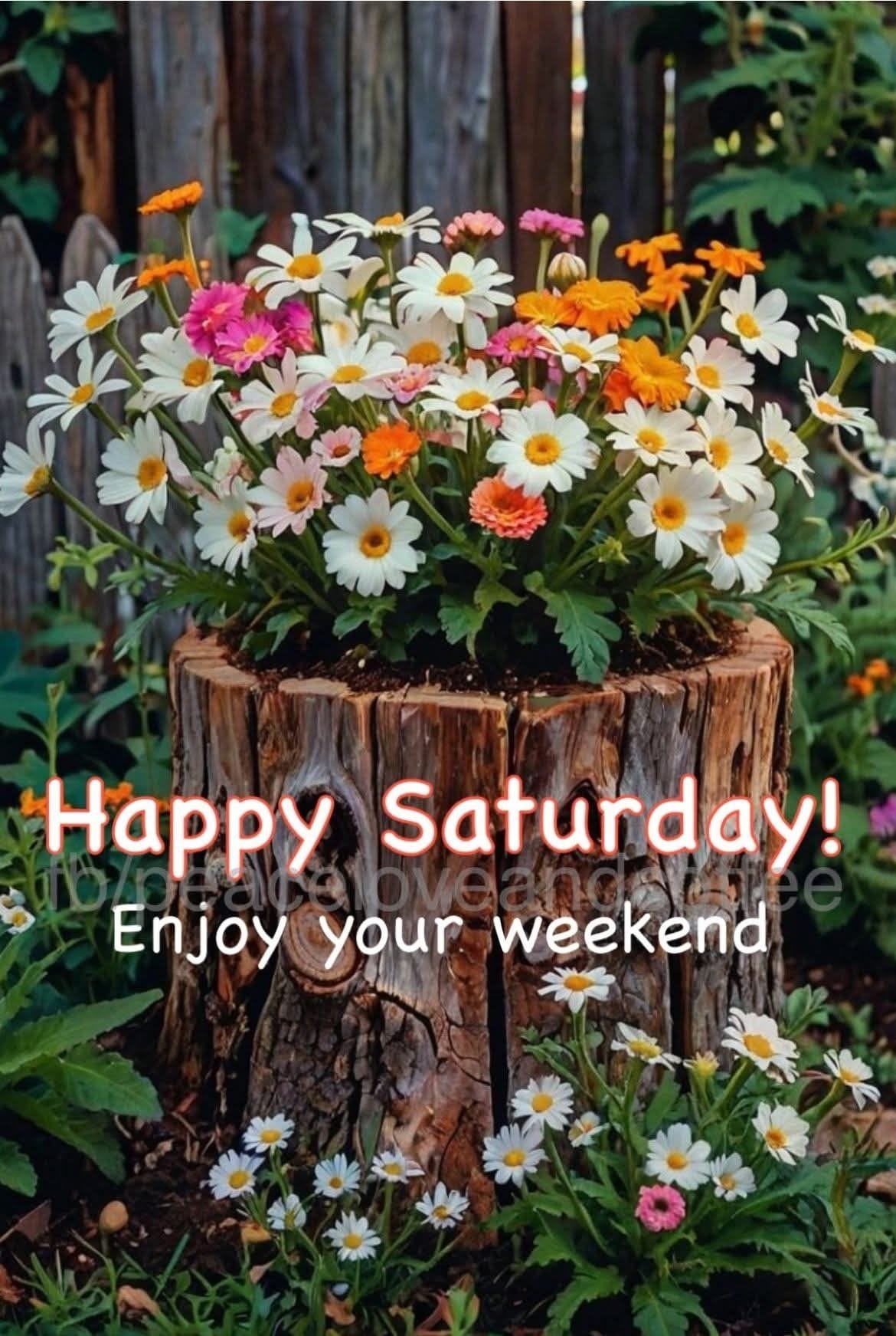 Good morning happy saturday images