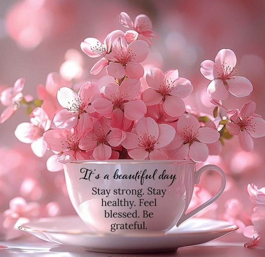 good morning happy saturday quotes