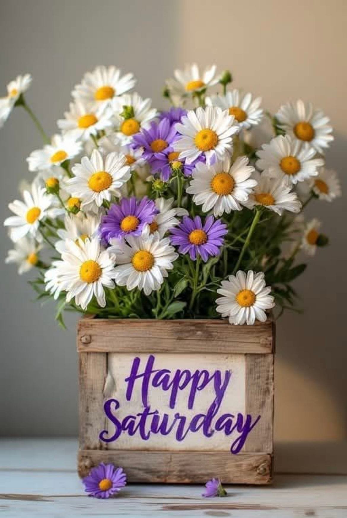 good morning happy saturday pics